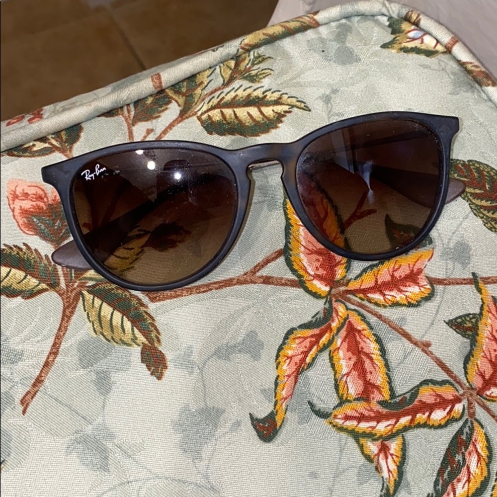 Rayban Erika Sunglasses